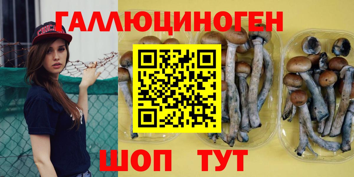 Псилоцибиновые грибы Cubensis Рубцовск
