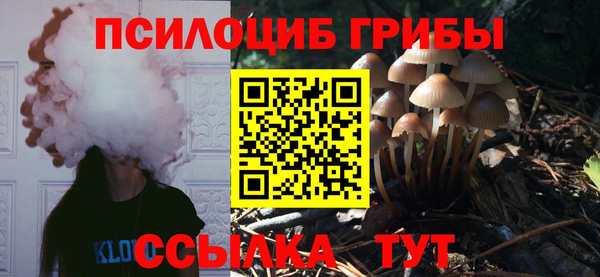 Галлюциногенные грибы Cubensis  Вход с VPN  Рубцовск  Псилоцибиновые грибы прущие грибы 